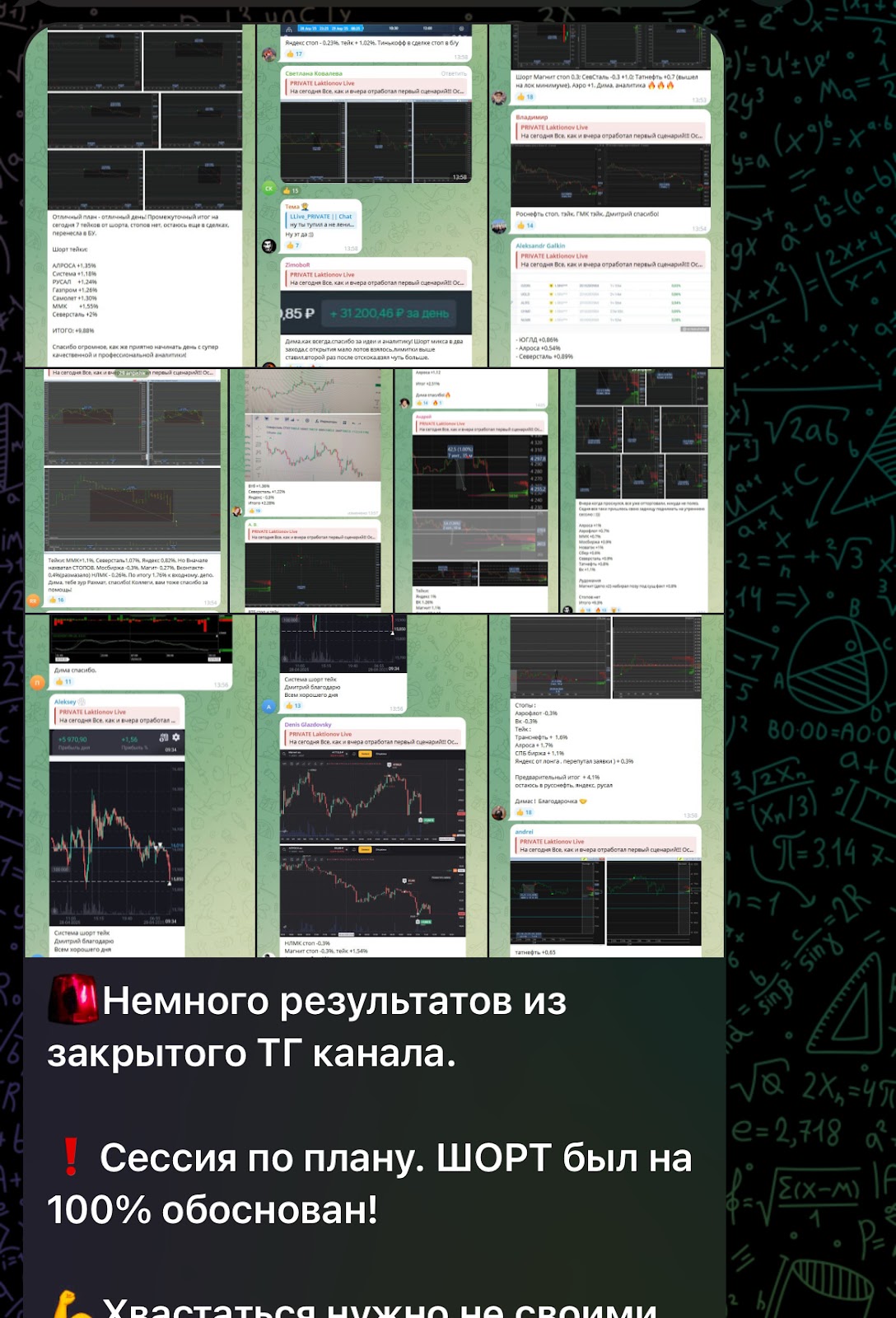 laktionov live laktionov live