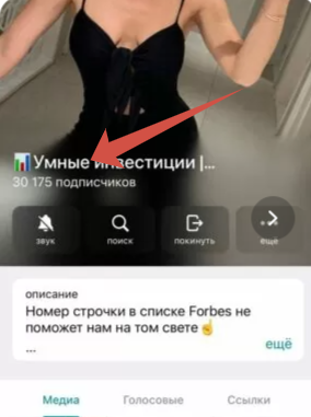 natali investru natali investru