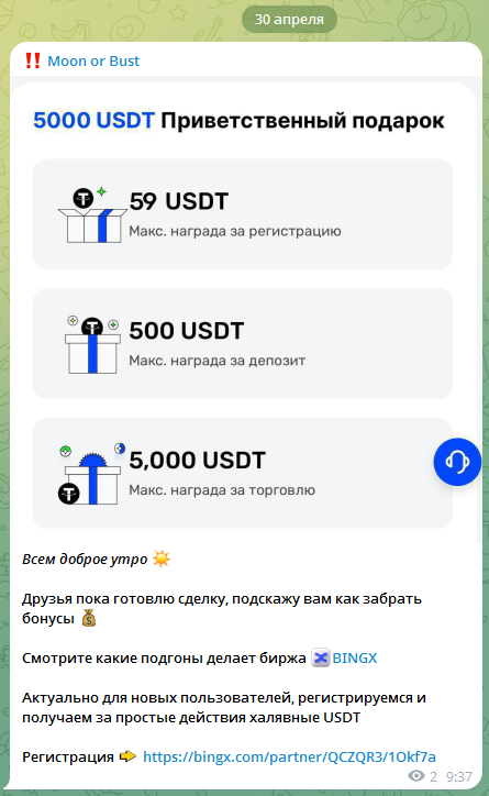 Moon or Bust Moon or Bust