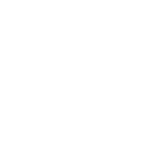 The APIS 
