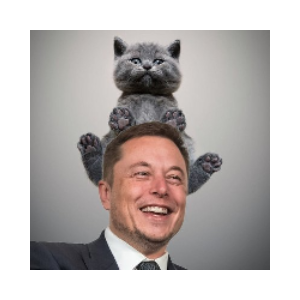 Cat of Elon 