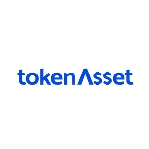 TokenAsset 