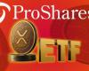 NYSE Arca дала зеленый свет ProShares Ultra XRP и Solana ETF NYSE Arca дала зеленый свет ProShares Ultra XRP и Solana ETF