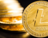 Атака на Litecoin: DoS-эксплойт привёл к откату сети на 13 блоков