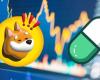 BONK против Pump.fun: кто теперь король мемкоинов Solana