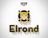 Компания Elrond стала самым перспективным блокчейн-проектом Компания Elrond стала самым перспективным блокчейн-проектом