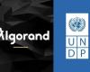 Обучение блокчейну и web3 от Algorand Foundation для сотрудников ООН