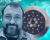 Скандал в мире Cardano: Хоскинсон обещает аудит на $600 миллионов Скандал в мире Cardano: Хоскинсон обещает аудит на $600 миллионов