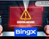BingX подверглась взлому, хакеры украли 43 миллиона долларов