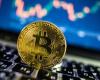 Итоги недели: биткоин рискует упасть до 5 000 долларов