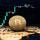 популярное: Прогноз цен на 1 сентября: BTC, ETH и топ-10 криптовалют