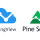 TOP: Pine Script v5 для TradingView: пошаговое руководство