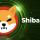 TOP: 100 миллионов SHIB сожжены, команда откажется от контракта BONE