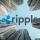 популярное: Ripple выходит на рынок ЕС после предварительного одобрения MiCA-лицензии в Люксембурге