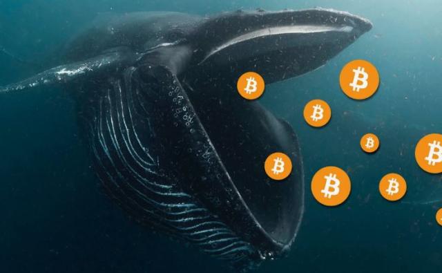 Биткоин-киты накапливают BTC как никогда раньше. Почему это подтолкнет Solana вверх