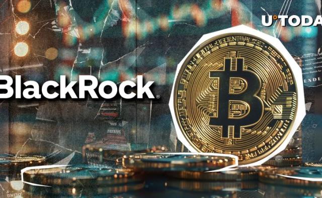 Руководитель BlackRock представил биткоин как безрисковый актив