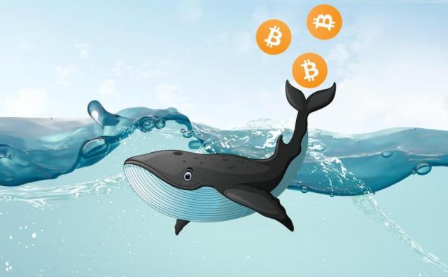 ZyCrypto: Киты накопили BTC на $1 миллиард за сутки
