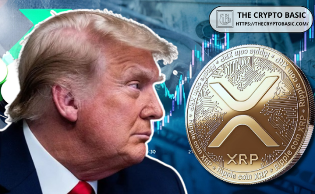 Эксперт утверждает, что для роста XRP президентство Трампа не обязательно
