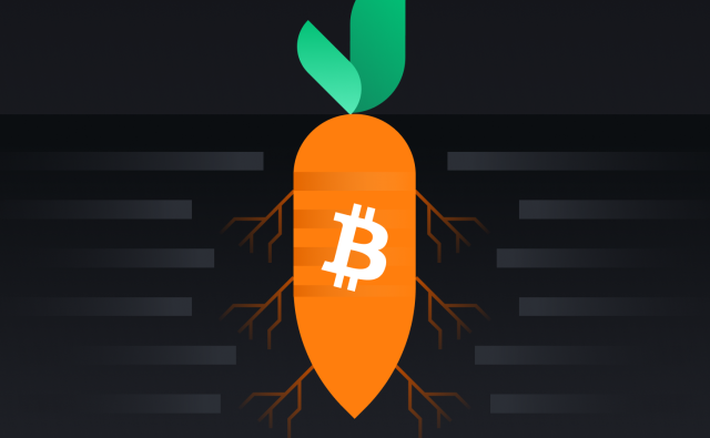 Lightning предложила альтернативу BRC20