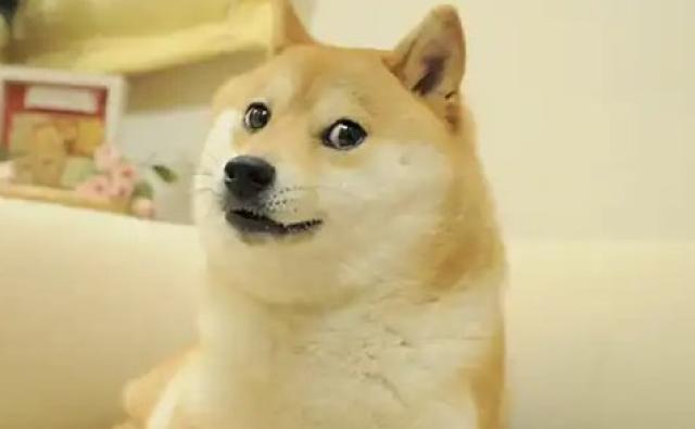 Новая заявка на Dogecoin ETF