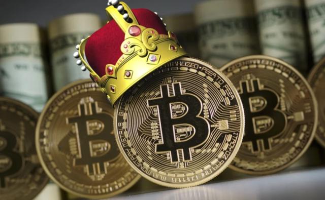 Bloomberg: Булл-ран биткоина на ранней стадии