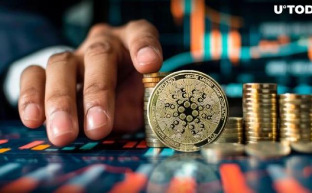 «Нам нужно больше покупателей»: сообщество Cardano решает проблему цен ADA