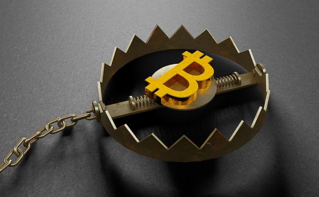 В Apollo рассказали о ловушке для медведей и возобновлении крипторалли