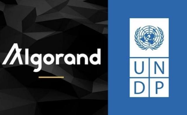 Обучение блокчейну и web3 от Algorand Foundation для сотрудников ООН