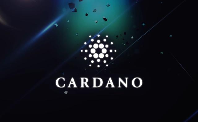 DEX на базе Cardano запускает публичный тестнет