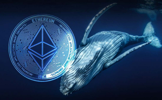 Эфириум: Увеличение доли китовых кошельков свидетельствует о бычьих перспективах