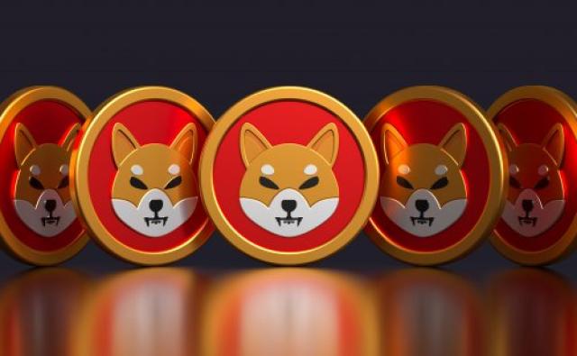 CryptEye: График сжигания Shiba Inu сильно изменился в декабре
