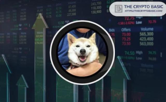 Конкурент сиба-ину вырос более чем на 600% после листинга на Binance