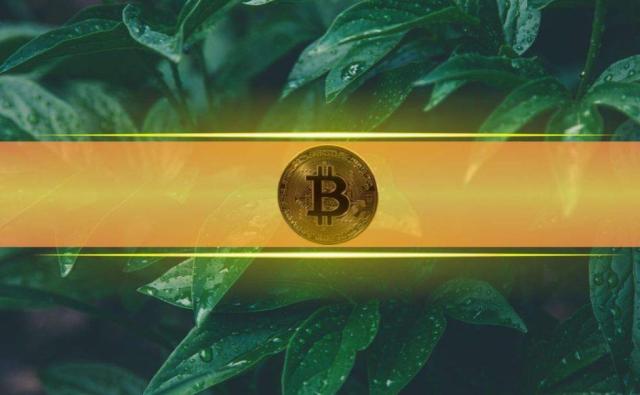 Биткоин целит в $110 000: Трамп отложил тарифы