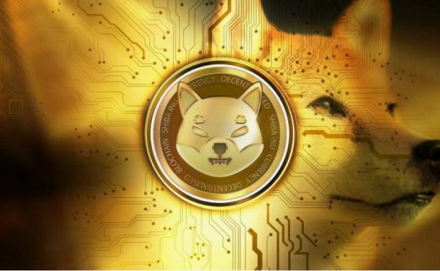 Пришло ли время для сиба-ину увидеть 50–100% прирост каждый день?