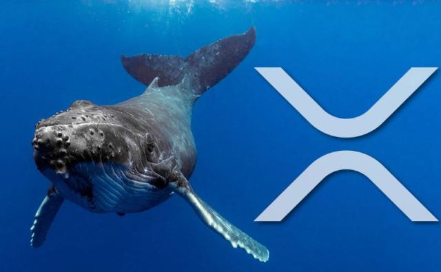 Крупные инвесторы накопили 380 млн XRP за 10 дней