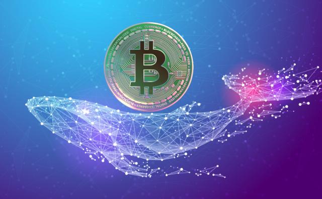 Bitcoin вырос выше $ 22 000, вызвав ликвидацию $ 250 миллионов