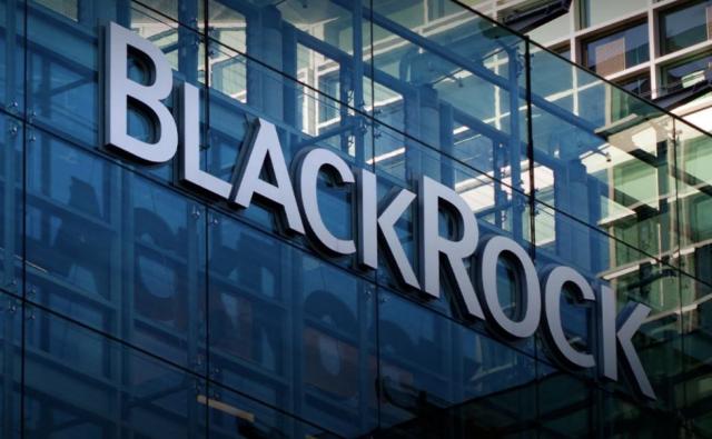 BlackRock обнародовал предупреждение о криптовалютах