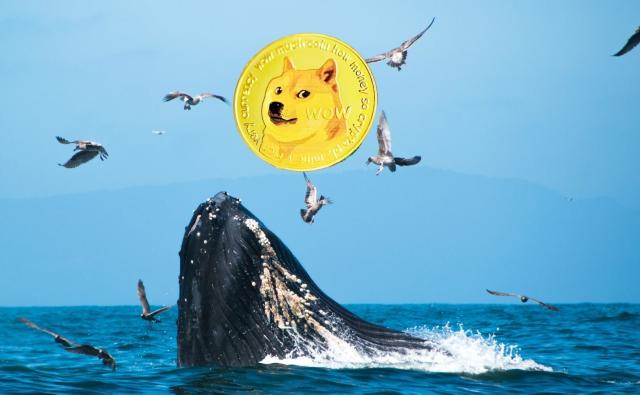 Dogecoin-киты активизировались в преддверии рейдж-пампа