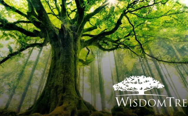 WisdomTree интегрирует свои токенизированные фонды в сеть Solana для расширения доступа к реальным активам