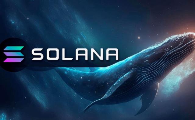 Ожидается гигантский сброс китом 200 000 Solana (30 миллионов долларов)