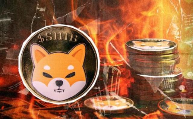 SHIB Burns внезапно подскочил на 320%. Отреагирует ли цена?