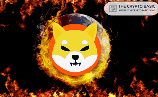 Игра P2E для сиба-ину, направленная на увеличение количества сожженных SHIB: команда объясняет, как