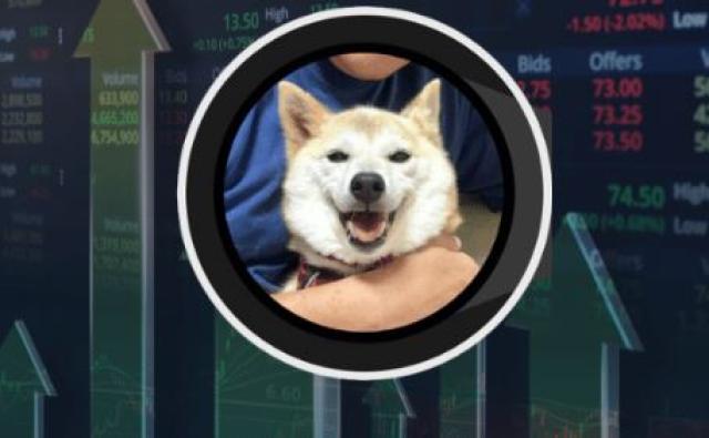 Эксперт по криптовалютам рассказал, почему Neiro сейчас является самым популярным токеном Ethereum