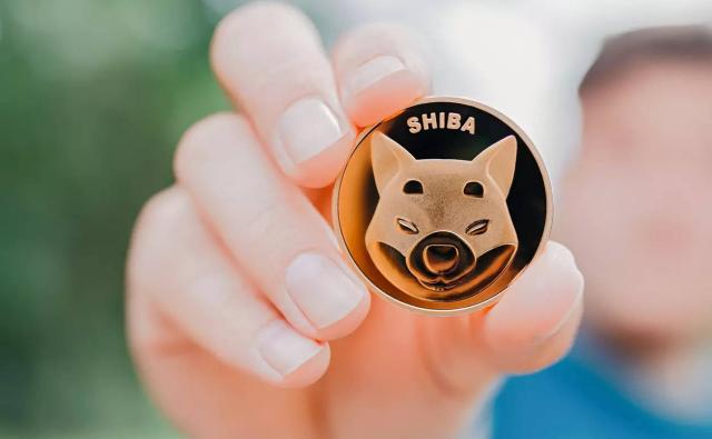 Курс SHIB вырос на 80% за сутки