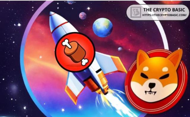 Сиба-ину: известный эксперт говорит, что BONE взлетит до небес, когда произойдет листинг