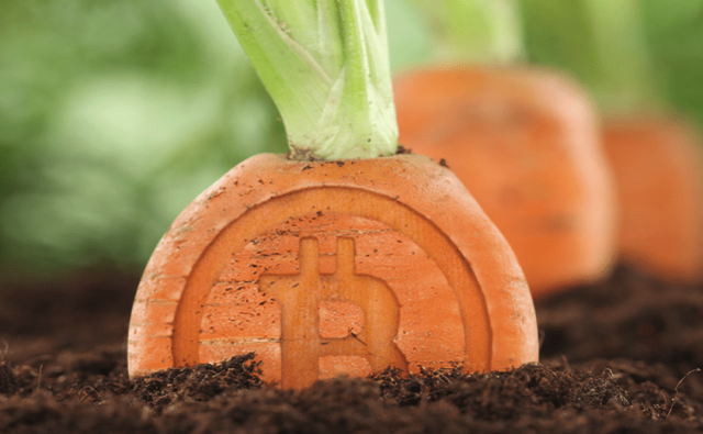 Lightning анонсировала Taproot Assets v0.3