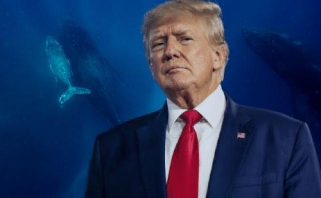 Ripple CLO жертвует 624 000 XRP Дональду Трампу