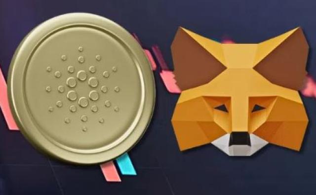 Пользователи MetaMask теперь могут взаимодействовать с Cardano