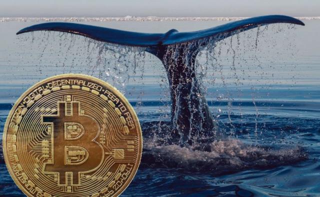 Биткоин сталкивается с огромным давлением, поскольку киты сбросили BTC на сумму 600 миллионов долларов на прошлой неделе