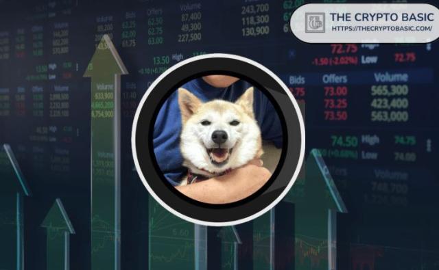 Инвестор получает прибыль в размере 334 000 долларов, поскольку NEIRO вырос на 48%: стратегия, которая за этим стоит